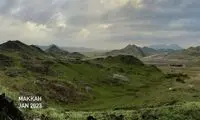 کوه‌های مکه سبز شد