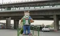 عکسی از انتقال 2 شیر سفید به باغ وحش ارم