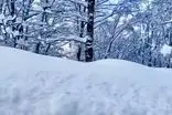 ویدئویی تماشایی از بارش برف در یکی از زیباترین جاده‌های ایران