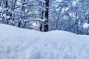ویدئویی تماشایی از بارش برف در یکی از زیباترین جاده‌های ایران