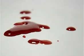 قطع عضو کشتی‌گیر ملی‌پوش در حمله وحشیانه به مغازه‌اش!