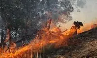 آتش سوزی وسیع در 10 هکتار از اراضی مازندران
