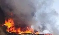 وقوع آتش‌سوزی در جاده شاندیز مشهد