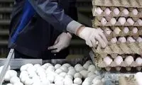 قیمت جدید تخم‌مرغ اعلام شد