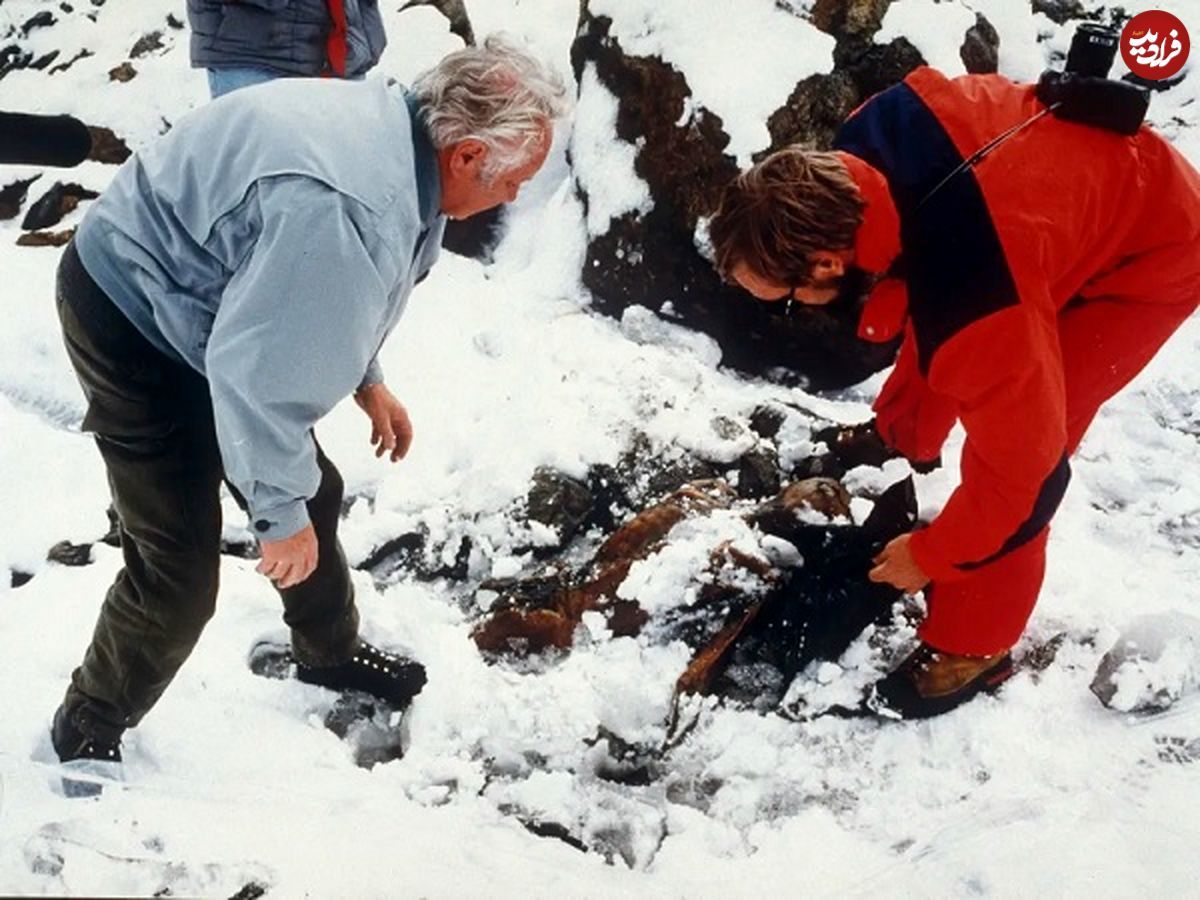 یک کشف تازه درباره هویت «مرد یخی» پنج هزارساله