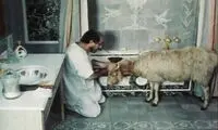 عید قربانِ غریبانه یک ایرانی مشهور در قلب آمریکا