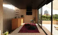 بازسازی شگفت‌انگیز خرپشته‌ای کوچک در کنار نقش جهان