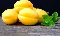 ۹ خوراکی و میوه که آهن بدن را تامین می‌کند