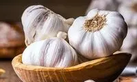 ساده‌ترین راه برای جلوگیری از جوانه زدن سیر
