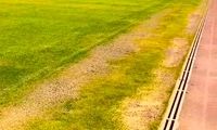 واکنش عجیب آقای مدیر به زردی چمن یادگار امام!