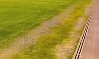 واکنش عجیب آقای مدیر به زردی چمن یادگار امام!