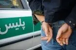 گربه صاحبخانه، دزد را ترساند