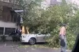 سرعت وزش باد در تهران به ۹۰ کیلومتر بر ساعت رسید!