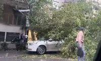 سرعت وزش باد در تهران به ۹۰ کیلومتر بر ساعت رسید!