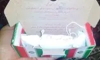ماکت شهید گمنام در یک مراسم خبرساز شد