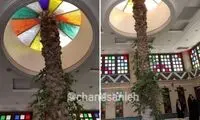 سرویس بهداشتی متفاوت با حفظ درخت نخل!