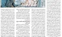 روزنامه دولت: مرغ در اروپا و آمریکا گران‌تر از ایران است