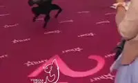 ببینید: ربات ایرانی، با یک نارنجک‌انداز در روسیه!