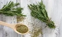 گیاه معطری که شما را باهوش‌تر می‌کند