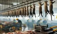 فرآیند پرورش و فرآوری گوشت گربه در چین