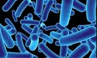 میکروب‌هایی که بدون آنکه بدانیم تغییرمان می‌دهند
