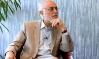 هشدار علی‌اکبر صالحی درباره نقشه تازه اسرائیل