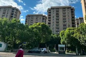 تصویری نوستالژیک از بادکنک‌فروش‌های خیابان ولیعصر