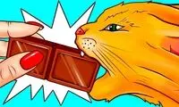 کدام خوراکی ها را نباید به گربه ها و سگ ها داد؟