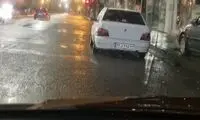 این چی سگ مسافرت هست، آخه میاید؟ مجازی را ترکاند