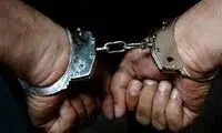 غافلگیری 7 شرور خطرناک در خانه مجردی
