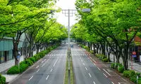 وقتی نظم از درون می‌آید