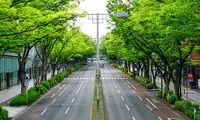 وقتی نظم از درون می‌آید