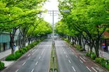 وقتی نظم از درون می‌آید