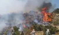عامل آتش‌سوزی جنگل‌های هیرکانی پیدا شد!