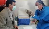 خبر نگران‌کننده درباره سومین توله‌یوز ایران 