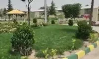 اقدام خبرساز در محل سقوط هواپیمای اوکراینی