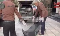 تصاویر اجساد قتل عام خانوادگی شهرک غرب