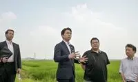 گرانی برنج کار دست حزب حاکم ژاپن داد