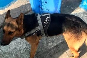 پایان غم‌انگیز شجاعت‌های تیدا