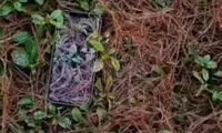ببینید: تحقیر اپل به سبک سامسونگ