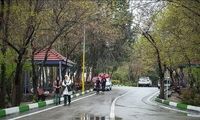 سرنوشت شیطان لویزان قربانیان را بهت‌زده کرد