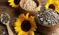 فواید شگفت‌انگیز تخمه آفتابگردان برای سلامتی