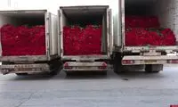 مهریه عجیب یک زوج عاشق که هنگام طلاق تمام و کمال پرداخت شد!