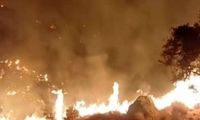 آتش‌سوزی ۱۴ساعته در مناطق صعب‌العبور کرمان