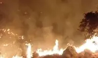 آتش‌سوزی ۱۴ساعته در مناطق صعب‌العبور کرمان