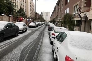 بارش برف، شمال تهران را سفیدپوش کرد