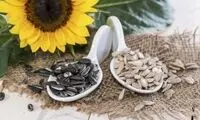 تخمه شکستن؛ سرگرمی یا اعتیاد؟
