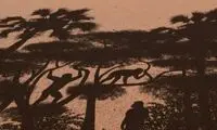 تاریخی که انسان دو پا شد!