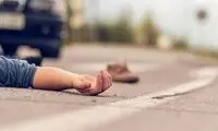 قتل راننده تاکسی ترکیه‌ای به دست مسافر ایرانی