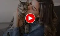 واکنش بامزه یک گربه چاق به نوازش توسط دختر جوان